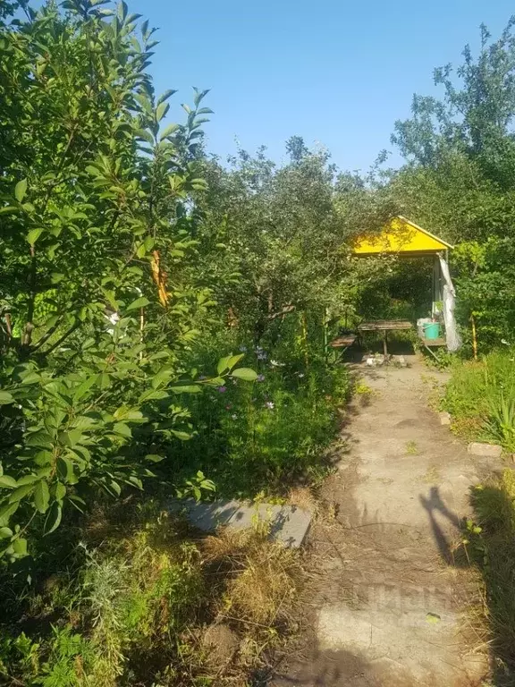 Участок в Ростовская область, Ростов-на-Дону Урожай садовое ... - Фото 2