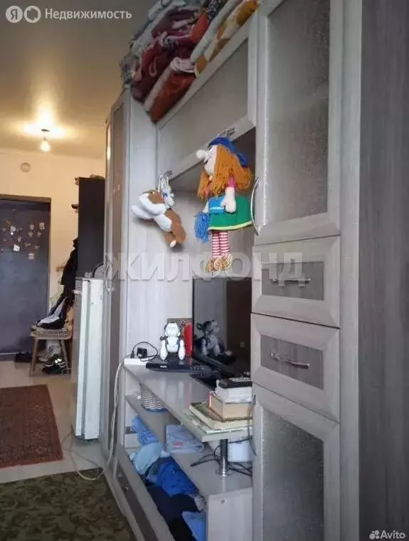 1-комнатная квартира: Абакан, улица Некрасова, 45 (22.1 м) - Фото 2