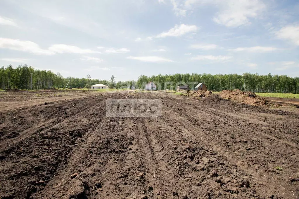 Участок в Челябинская область, Сосновский муниципальный округ, Городок ... - Фото 2