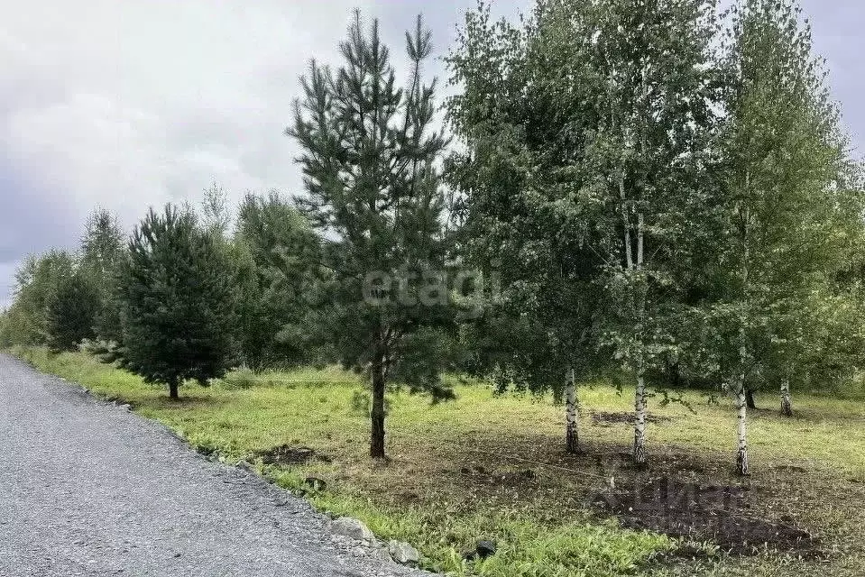 участок в кемеровская область, кемеровский район, д. солонечная ул. . - Фото 0