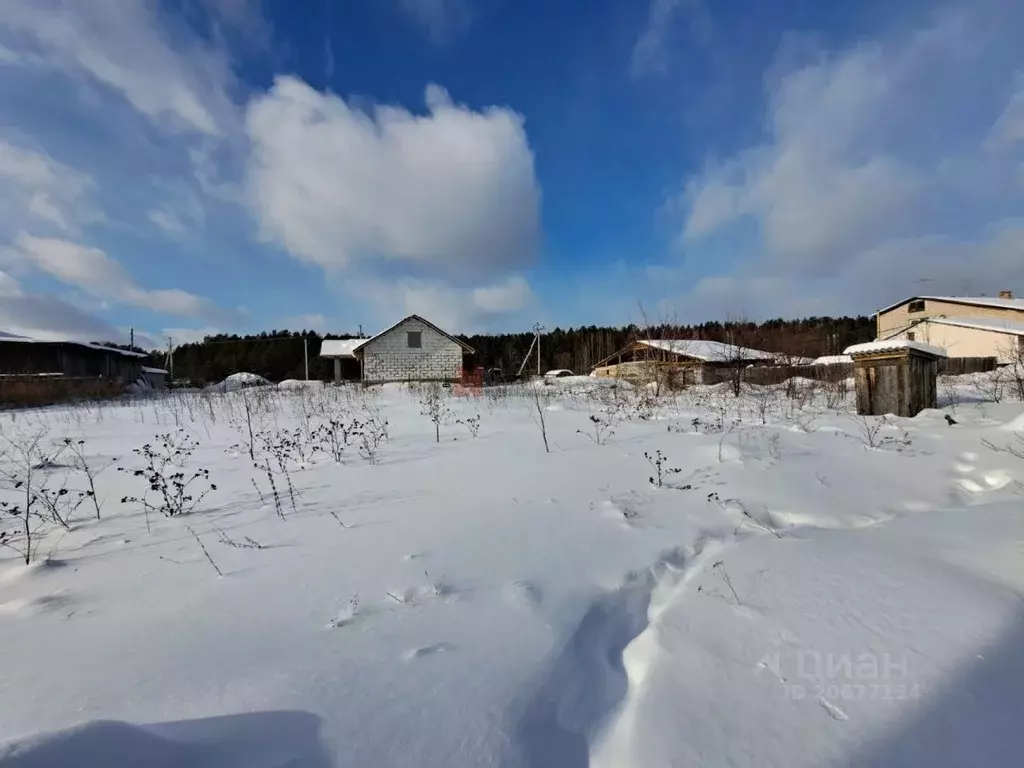 Участок в Тюменская область, Нижнетавдинский район, с. Тюнево  (12.0 ... - Фото 1