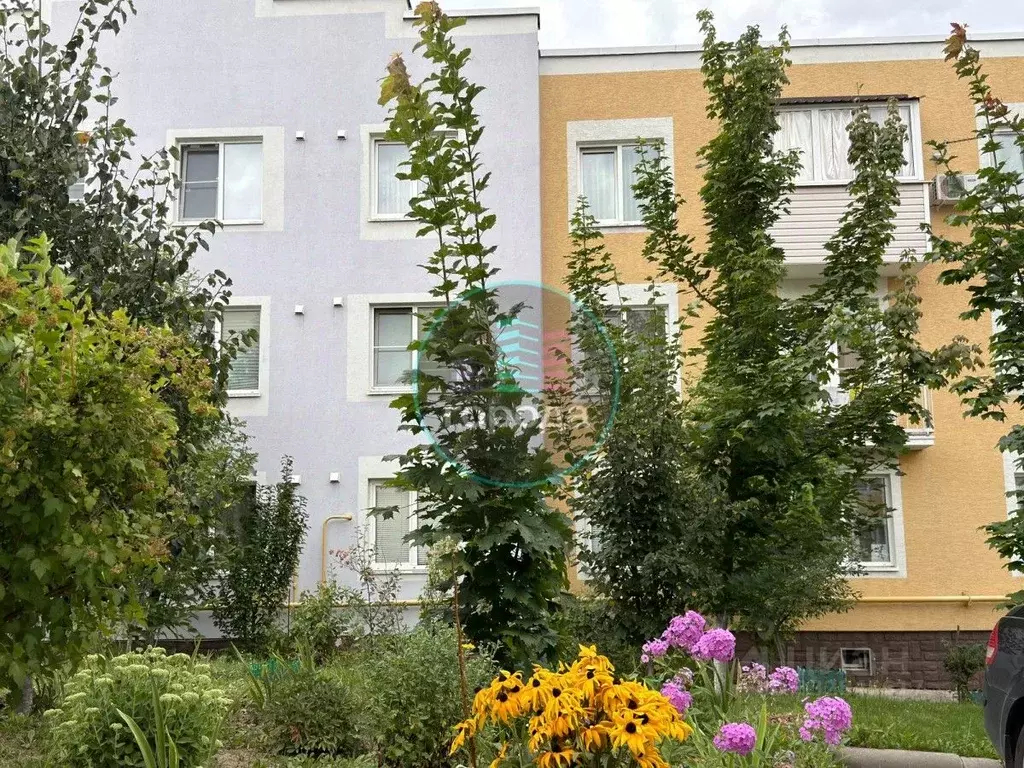 1-к кв. Московская область, Ступино городской округ, с. Верзилово, ... - Фото 2