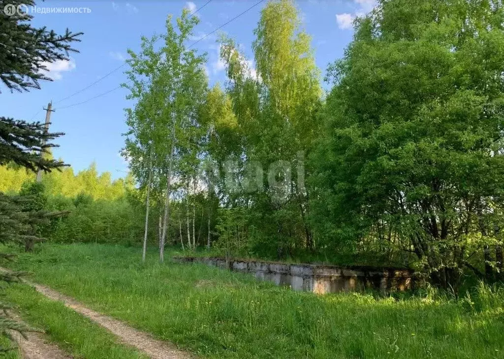 Участок в Алексин, СТ Рассвет (10 м) - Фото 1