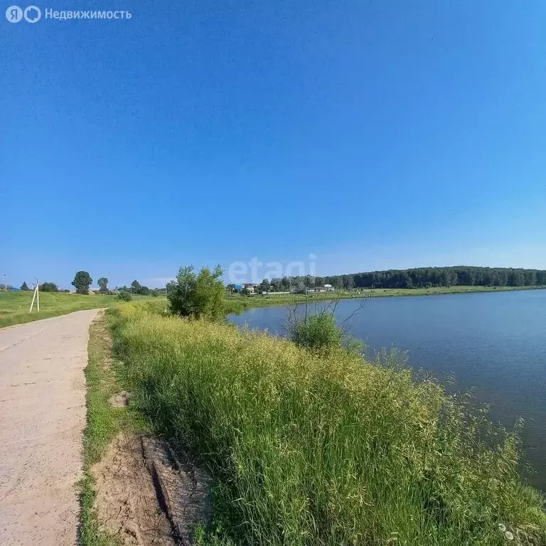 Участок в Мошковский район, село Барлак (10 м) - Фото 1