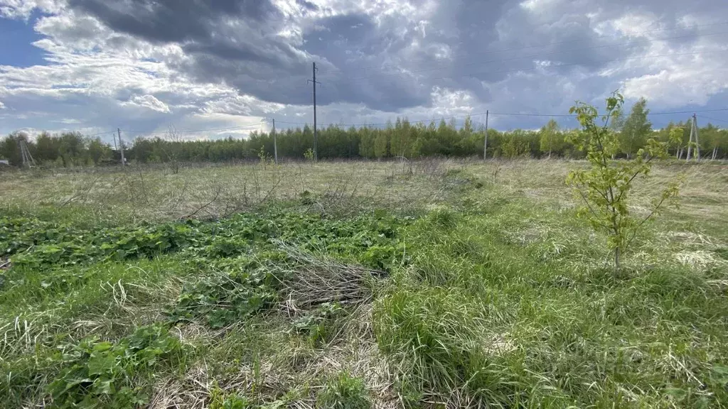 Участок в Московская область, Клин городской округ, д. Ширяево  (15.51 ... - Фото 2