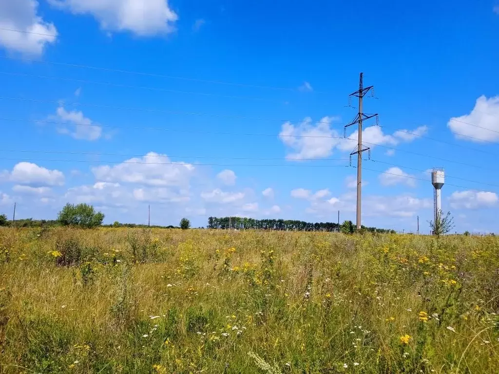 Участок в Курская область, Курский район, Брежневский сельсовет, д. ... - Фото 1