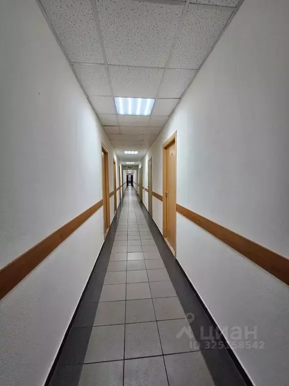 Офис в Брянская область, Брянск ул. 3 Июля, 27 (30 м) - Фото 2