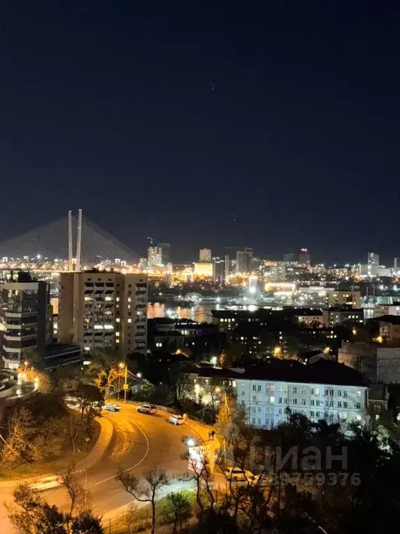 2-к кв. Приморский край, Владивосток Набережная ул., 5В (65.0 м) - Фото 2