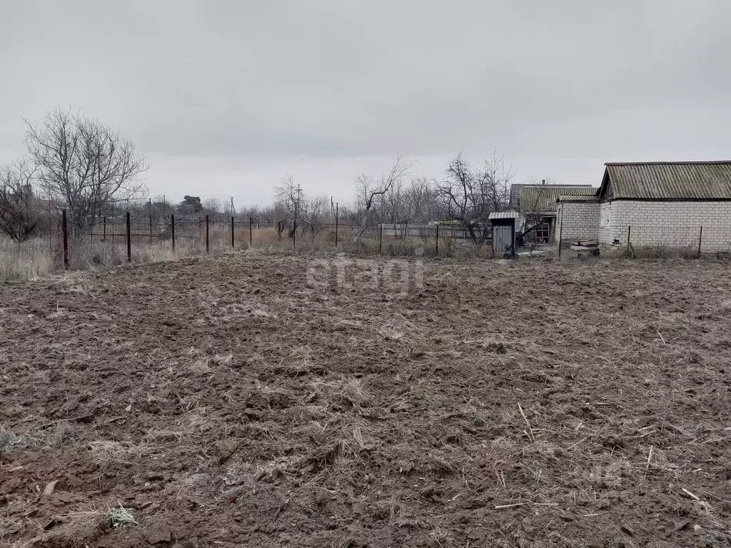 Участок в Волгоградская область, Среднеахтубинский район, Клетское ... - Фото 0