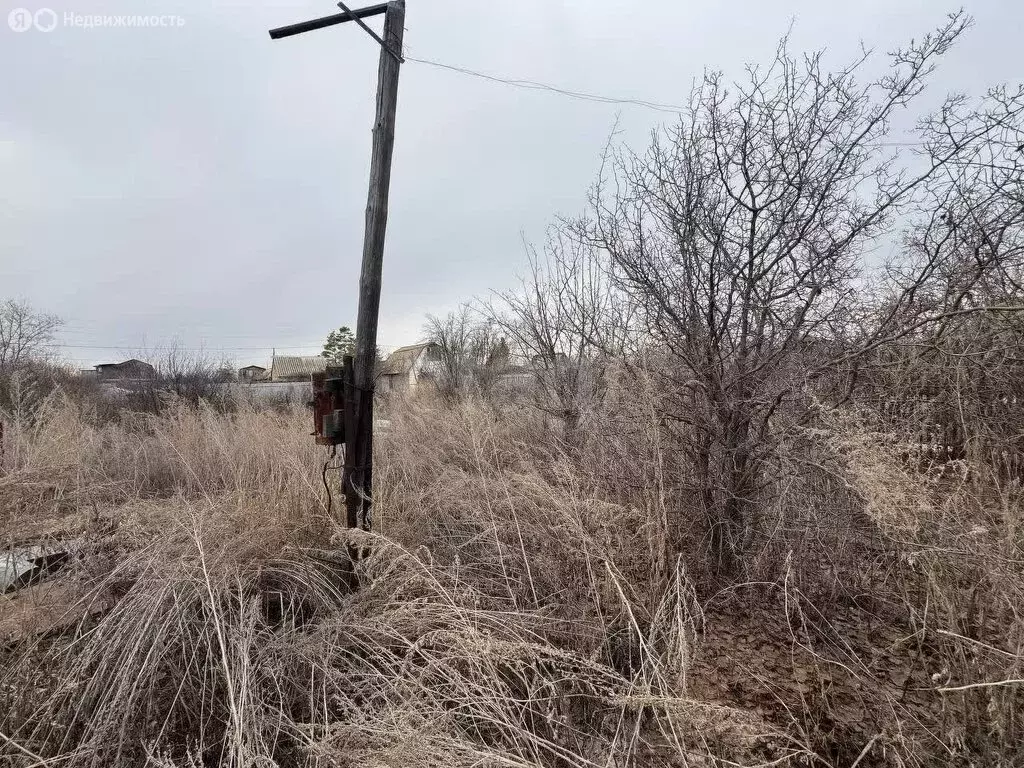 Участок в Нежинский сельсовет, СНТ Наука, Сиреневая улица (5 м) - Фото 0