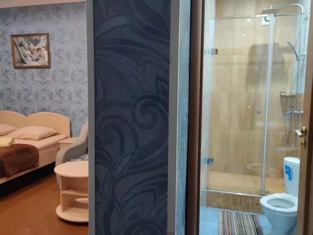 Комната Краснодарский край, Сочи ул. Ленина, 219/18 - Фото 2