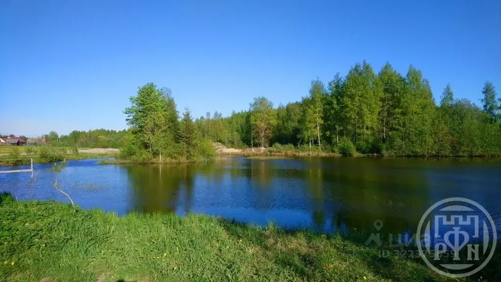 Участок в Ленинградская область, Волосовский район, Клопицкое с/пос, ... - Фото 1