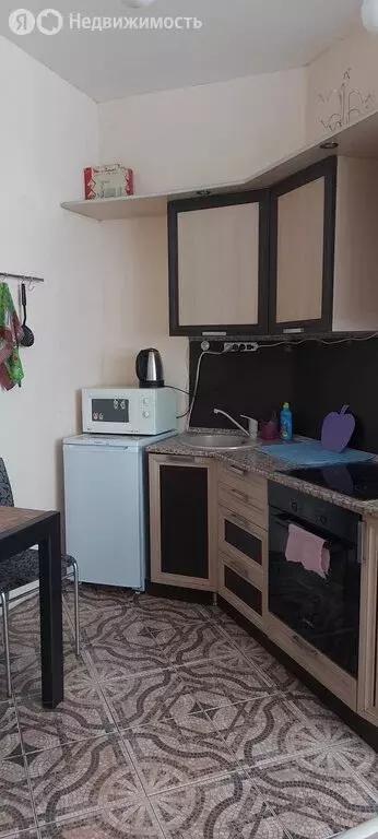 Квартира-студия: Красноярск, улица Вильского, 16 (29.4 м) - Фото 1