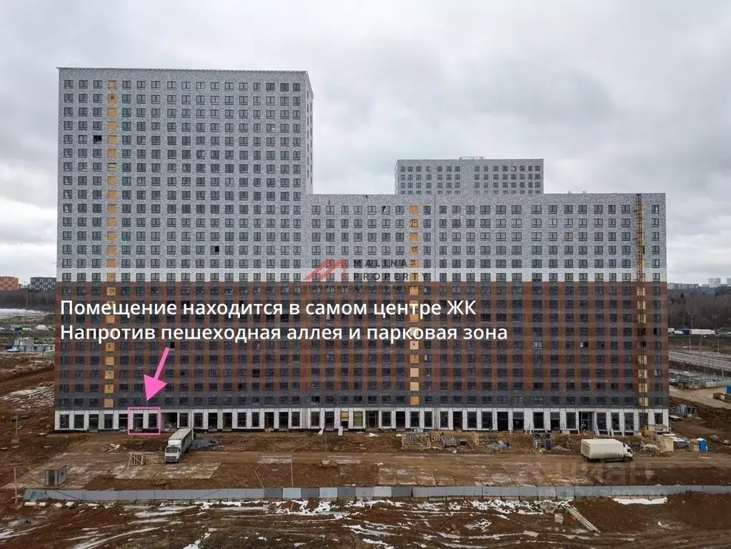 Торговая площадь в Московская область, Ленинский городской округ, ... - Фото 2