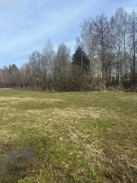 Участок в Московская область, Талдомский городской округ, д. Карманово ... - Фото 1