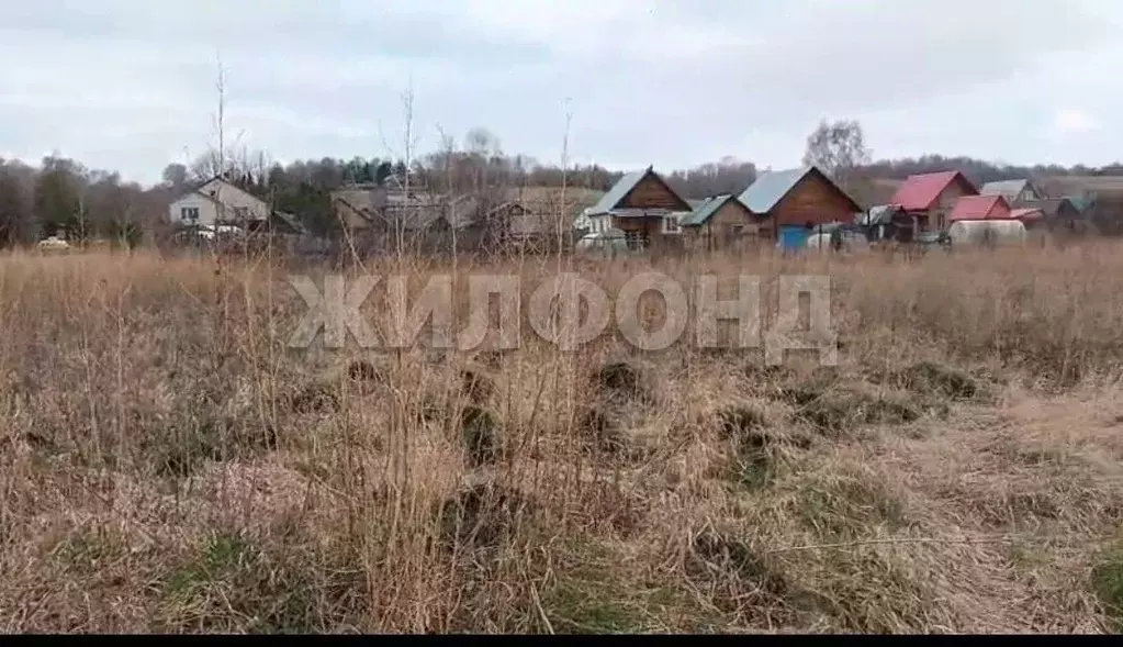 Участок в Новосибирская область, Колывань рп ул. Набережная (22.0 ... - Фото 1