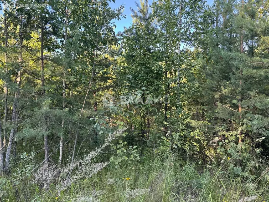 Участок в Республика Карелия, Кондопожское городское поселение, ... - Фото 1