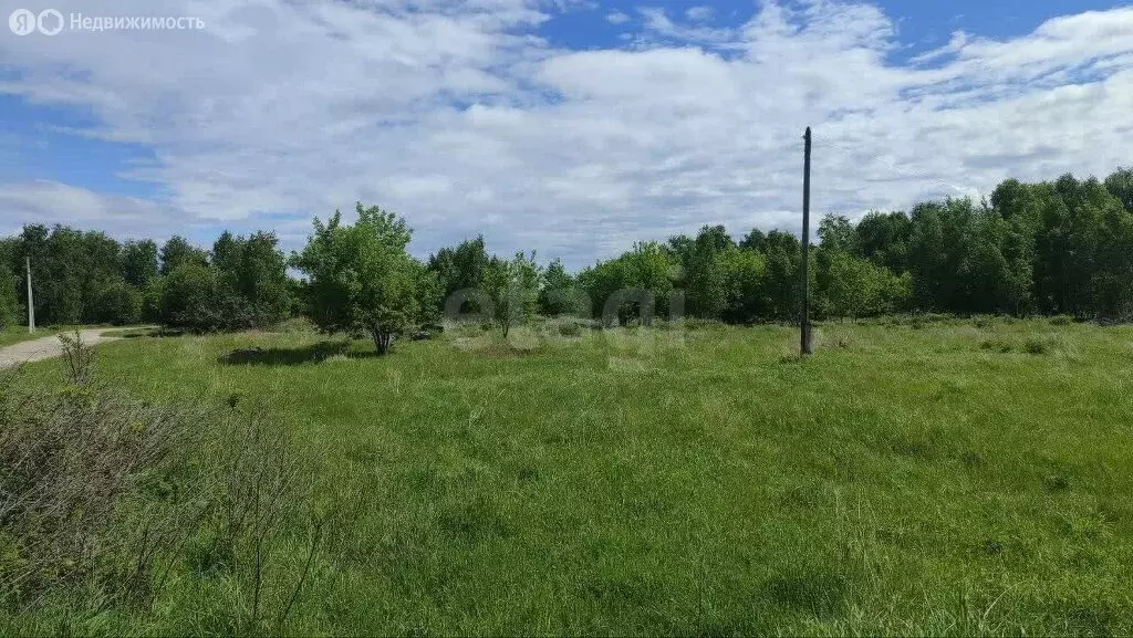 Участок в Искитимский район, деревня Бурмистрово (11.8 м) - Фото 1