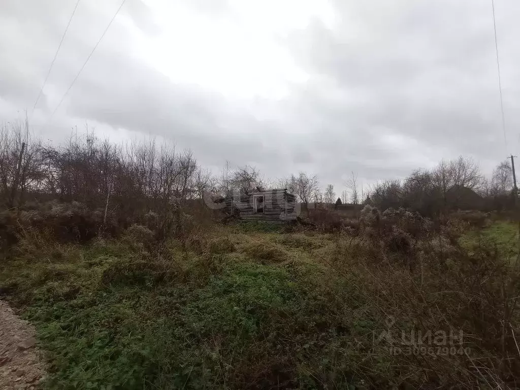 Дом в Псковская область, Островский район, Островская волость, д. ... - Фото 0