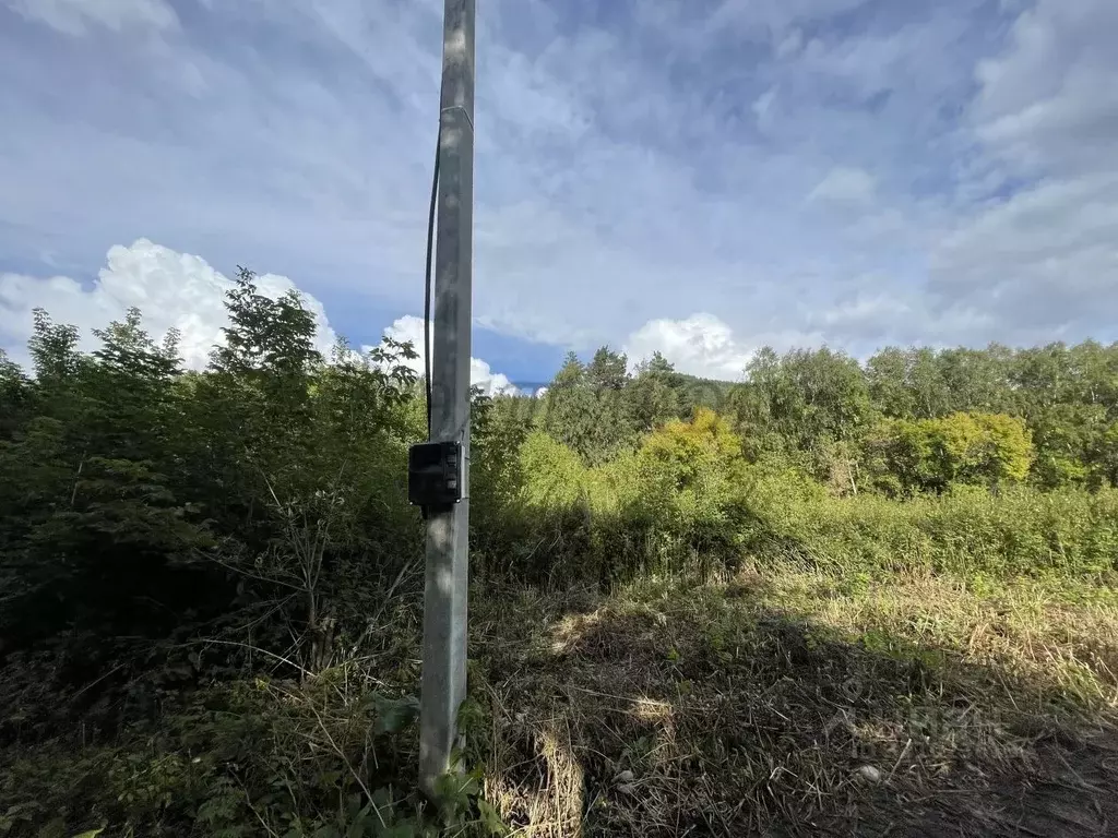 Участок в Алтай, Майминский район Р-256 Чуйский тракт, 488-й км (10.0 ... - Фото 0