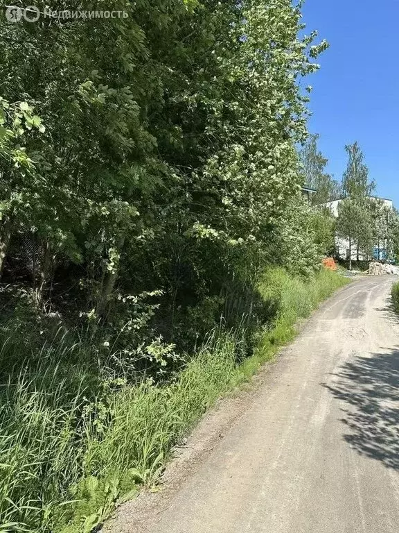 Участок в Юкки, Еловая аллея, 48А (12 м) - Фото 2