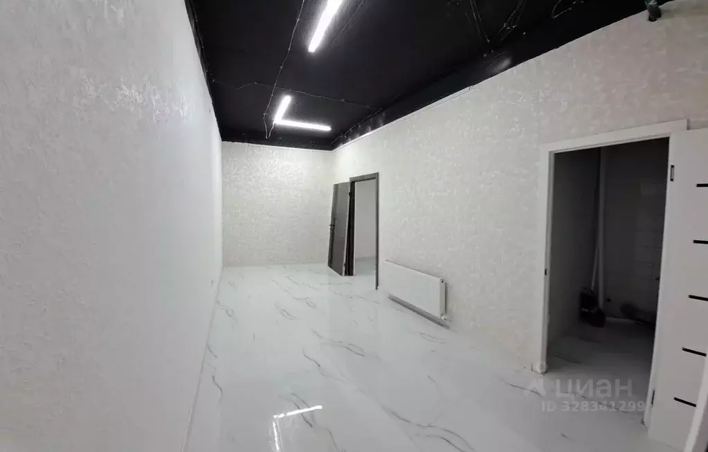 Офис в Крым, Симферополь ул. Первомайская, 4А (30 м) - Фото 1