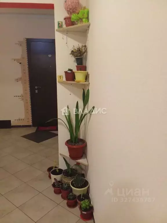 Студия Воронежская область, Новоусманский район, пос. Отрадное ул. ... - Фото 1