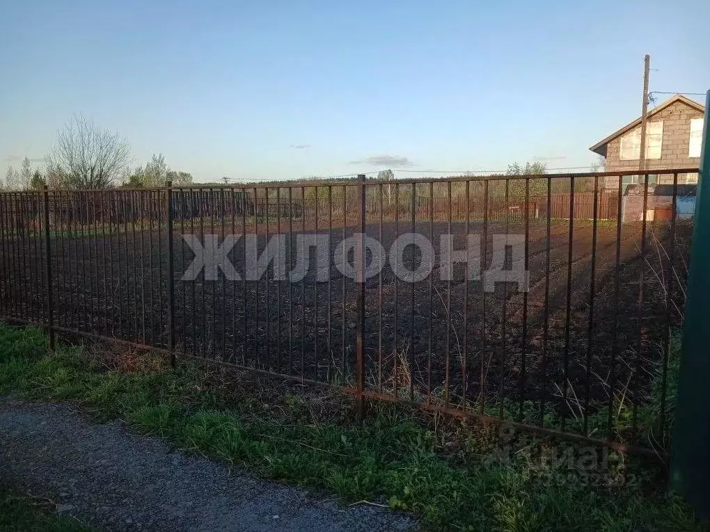 Участок в Новосибирская область, Новосибирский район, Кубовинский ... - Фото 2