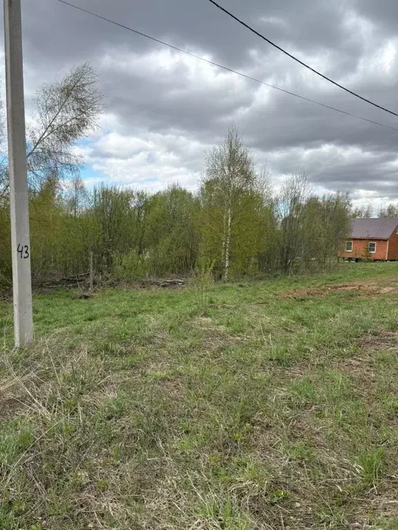 Участок в Владимирская область, Александровский район, Каринское ... - Фото 0