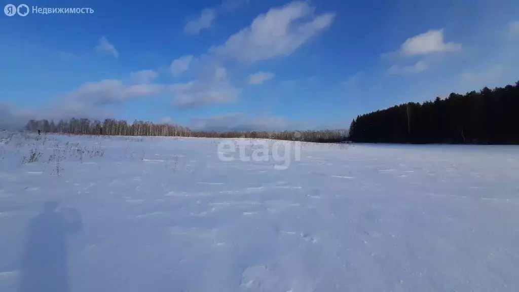 Участок в село Николо-Павловское, Полевая улица (10 м) - Фото 0