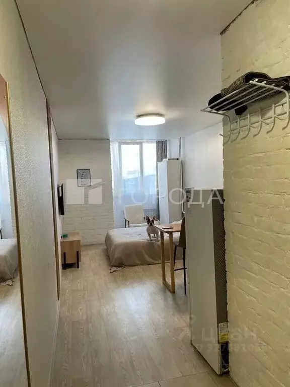 1-к кв. Алтайский край, Барнаул Песчаная ул., 190 (24.7 м) - Фото 2