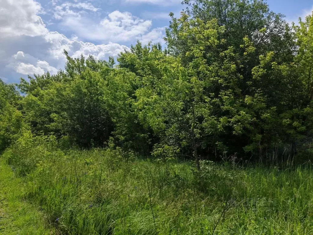Участок в Московская область, Ступино городской округ, с. Хонятино ул. ... - Фото 1