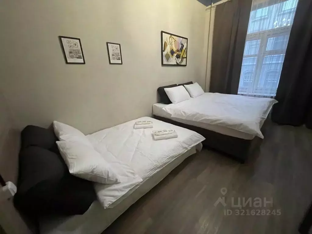 1-к кв. Санкт-Петербург Вознесенский просп., 41 (20.0 м) - Фото 2