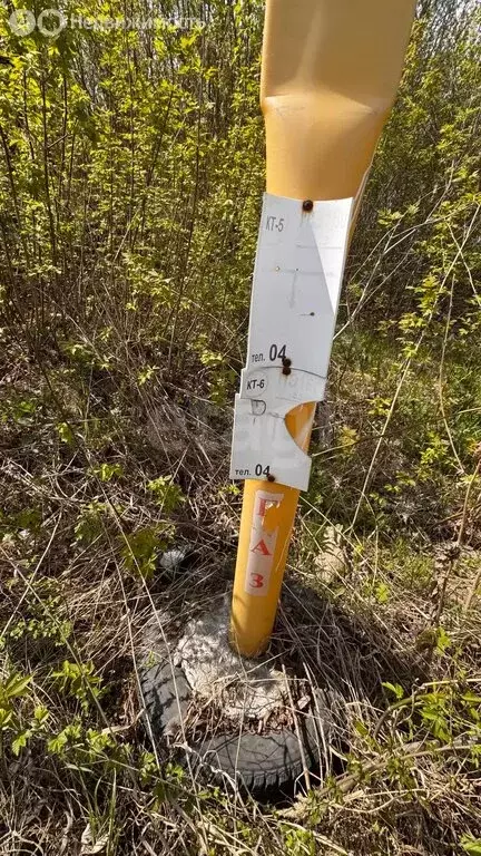 Участок в Челябинск, СНТ Кузнец-1, 2-я улица (3.83 м) - Фото 2