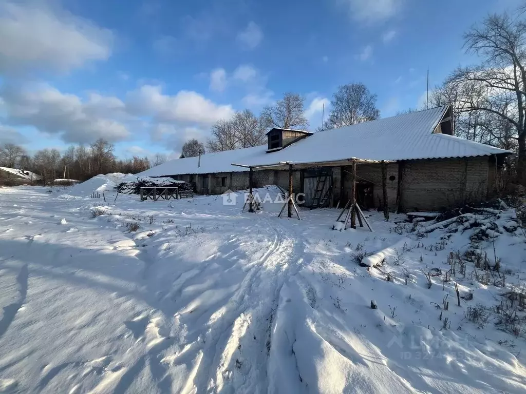 Производственное помещение в Нижегородская область, Семенов ул. ... - Фото 2