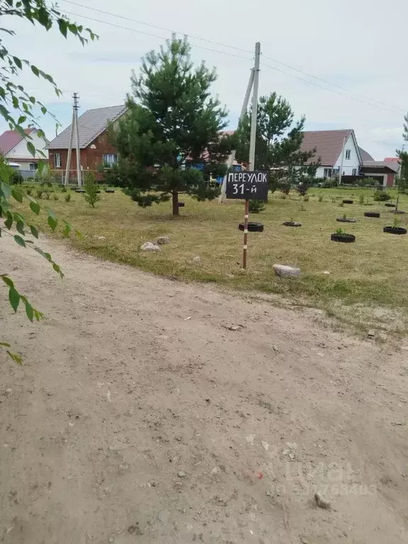 Участок в Алтайский край, Барнаул городской округ, пос. Лесной пер. ... - Фото 2