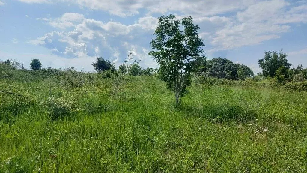 Участок 16,5 сот. (личное подсобное хозяйство (лпх)) - Фото 0