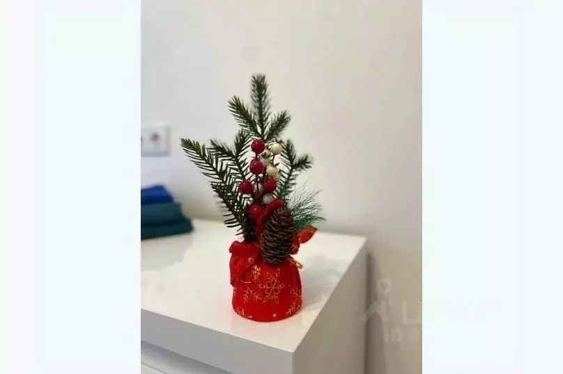 1-к кв. Московская область, Домодедово городской округ, с. Ям ул. ... - Фото 2