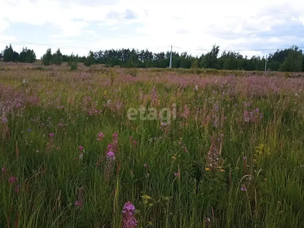 Участок в городской округ Ульяновск, село Карлинское (6 м) - Фото 1