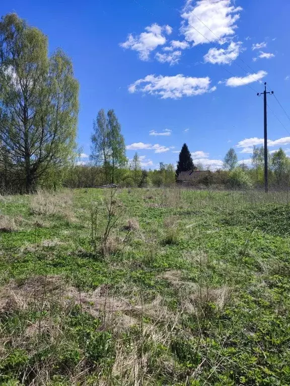 Участок в Псковская область, Опочецкий муниципальный округ, д. ... - Фото 1