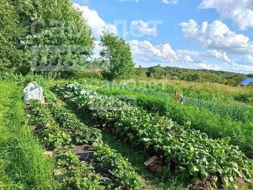 Участок в Вологодская область, Междуреченский муниципальный округ, д. ... - Фото 1