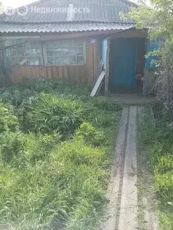Дом в село Солонешное, Совхозная улица, 34 (38 м) - Фото 1
