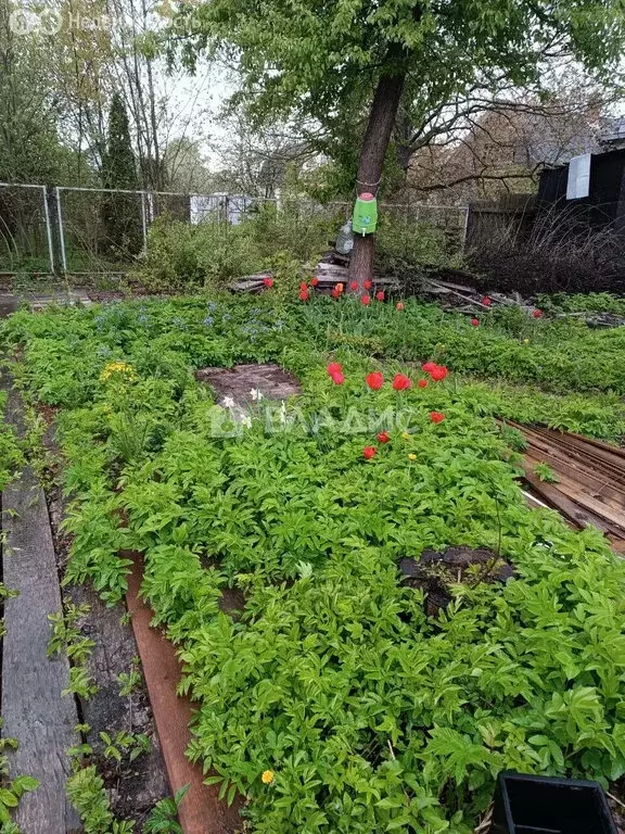 Участок в Домодедово, СНТ Берёзка, Никитинская улица, 1 (6 м) - Фото 1