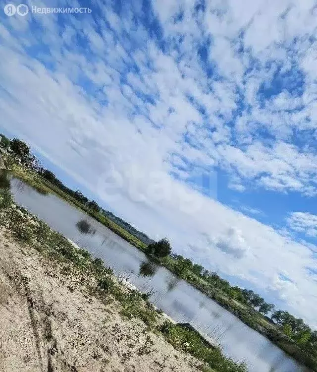 Участок в Калининградская область, Зеленоградский муниципальный округ, ... - Фото 2