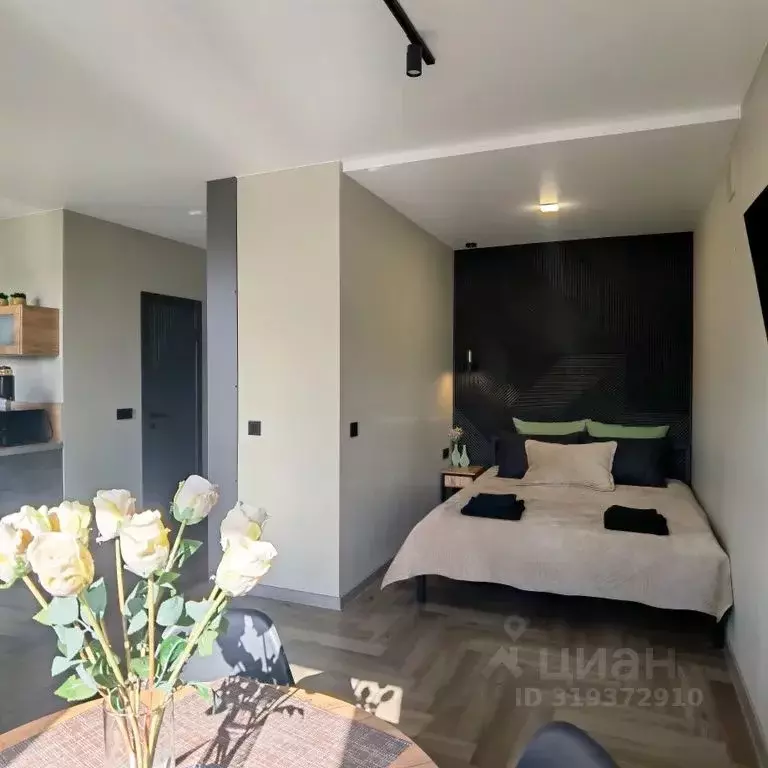 Студия Забайкальский край, Чита ул. Ленина, 150 (30.0 м) - Фото 1