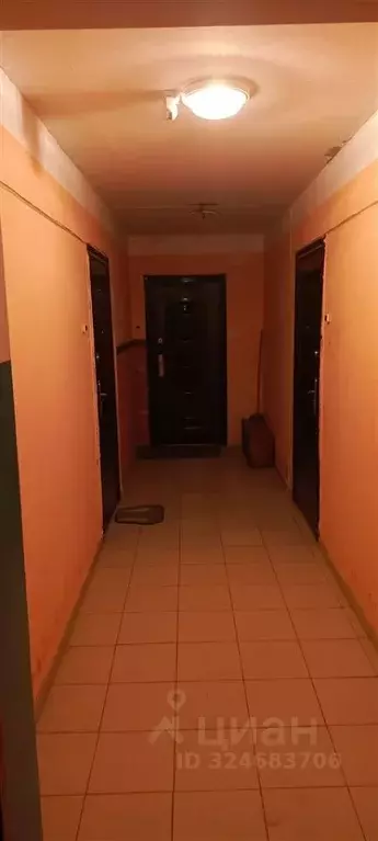 1-к кв. Рязанская область, Шилово рп ул. Стройкова, 12А (34.0 м) - Фото 1