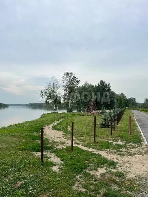 Участок в Новосибирская область, Новосибирский район, Кубовинский ... - Фото 1