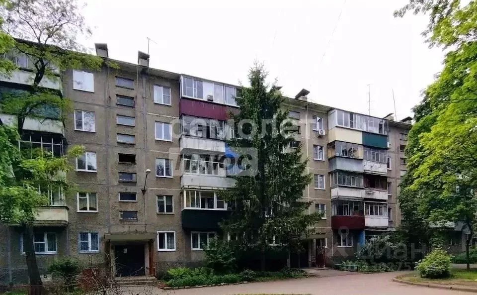 Комната Липецкая область, Липецк ул. Рубена Ибаррури, 5 (17.2 м) - Фото 1