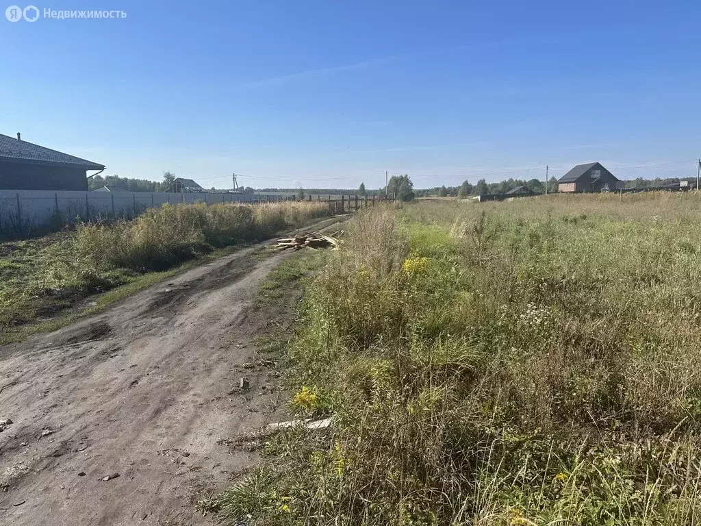 Участок в Брянский район, Снежское сельское поселение, село Толмачево ... - Фото 2