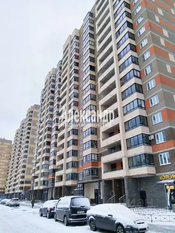 1-к кв. Ленинградская область, Мурино Всеволожский район, ул. Шоссе в ... - Фото 1